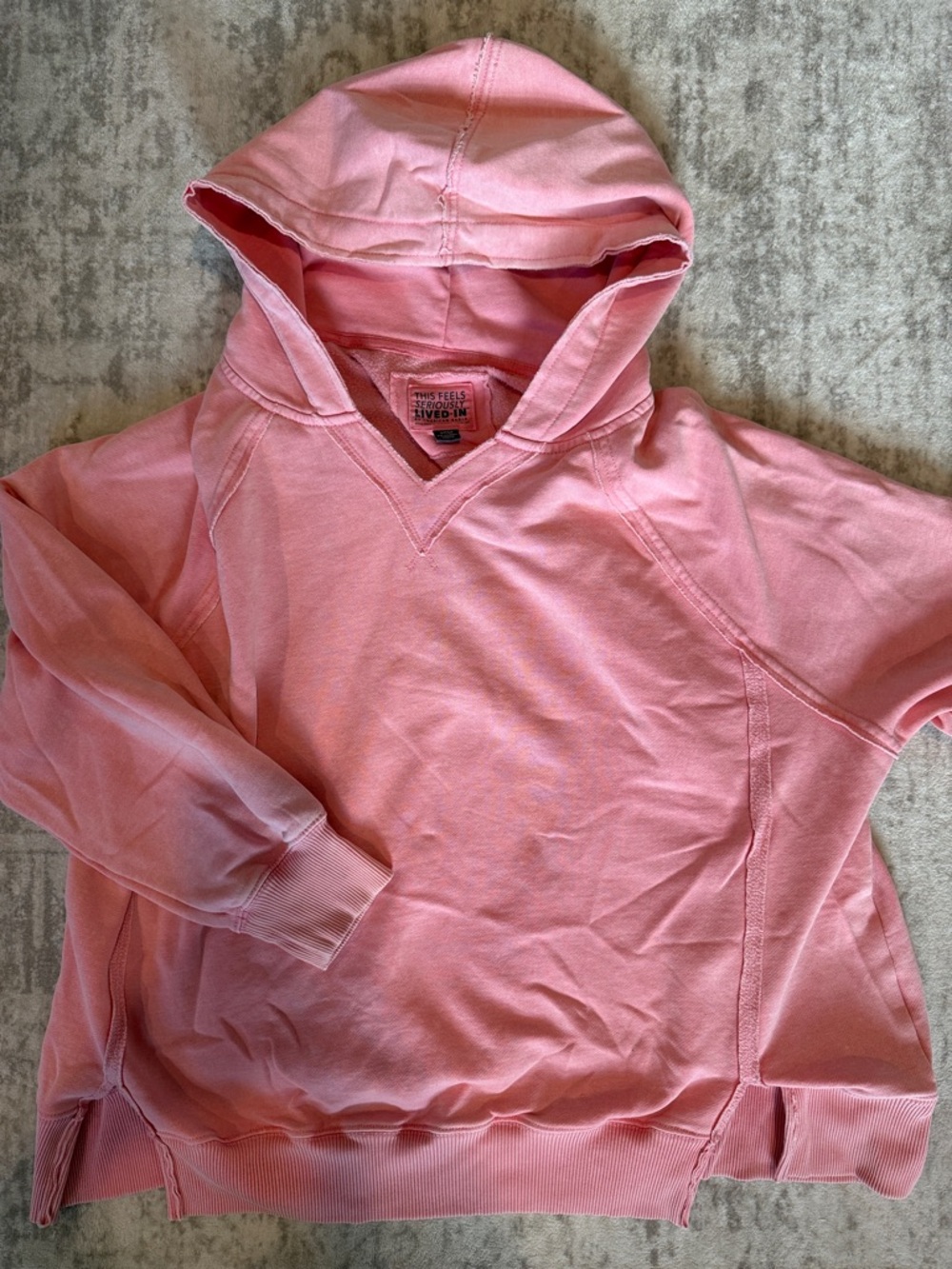 American Eagle Outfitters Pink Cozy Hoodie